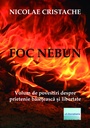 [978-606-001-021-0] Foc nebun