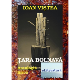 [978-606-700-054-2] Țara bolnavă